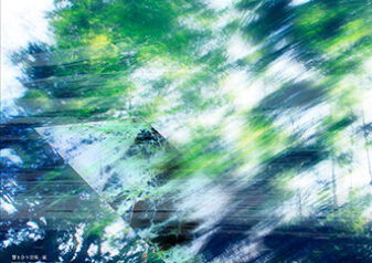 wind wind